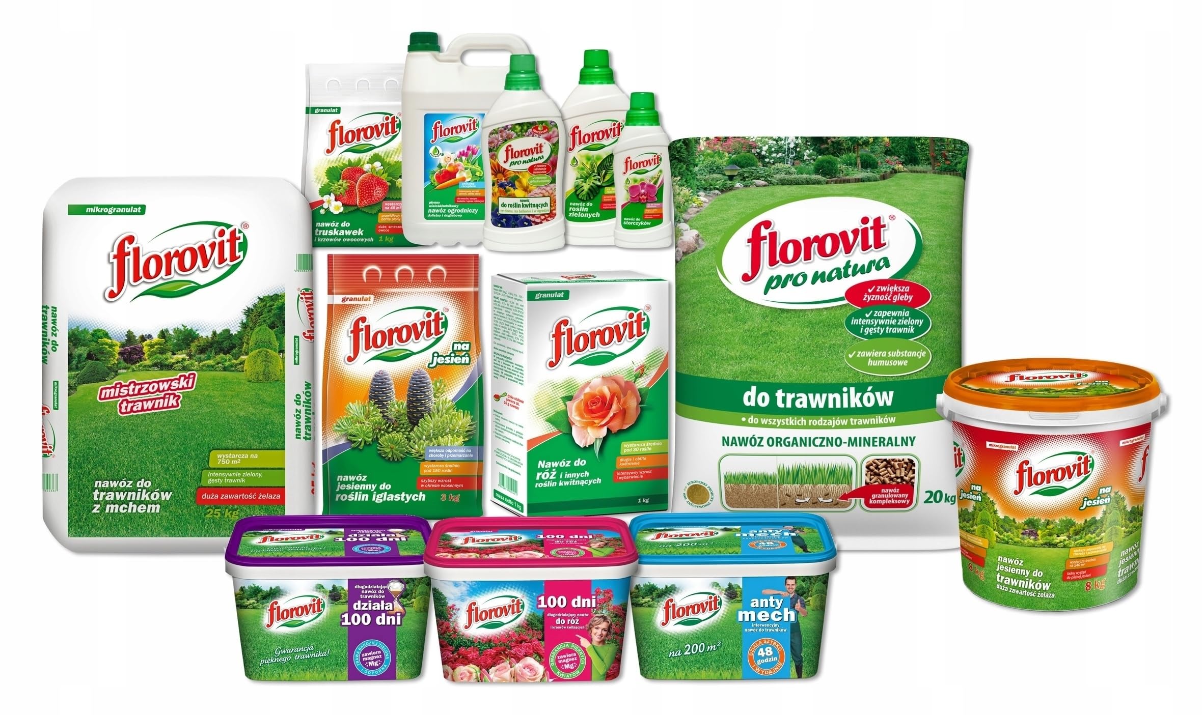 Nawóz do Bukszpanu 1kg Florovit