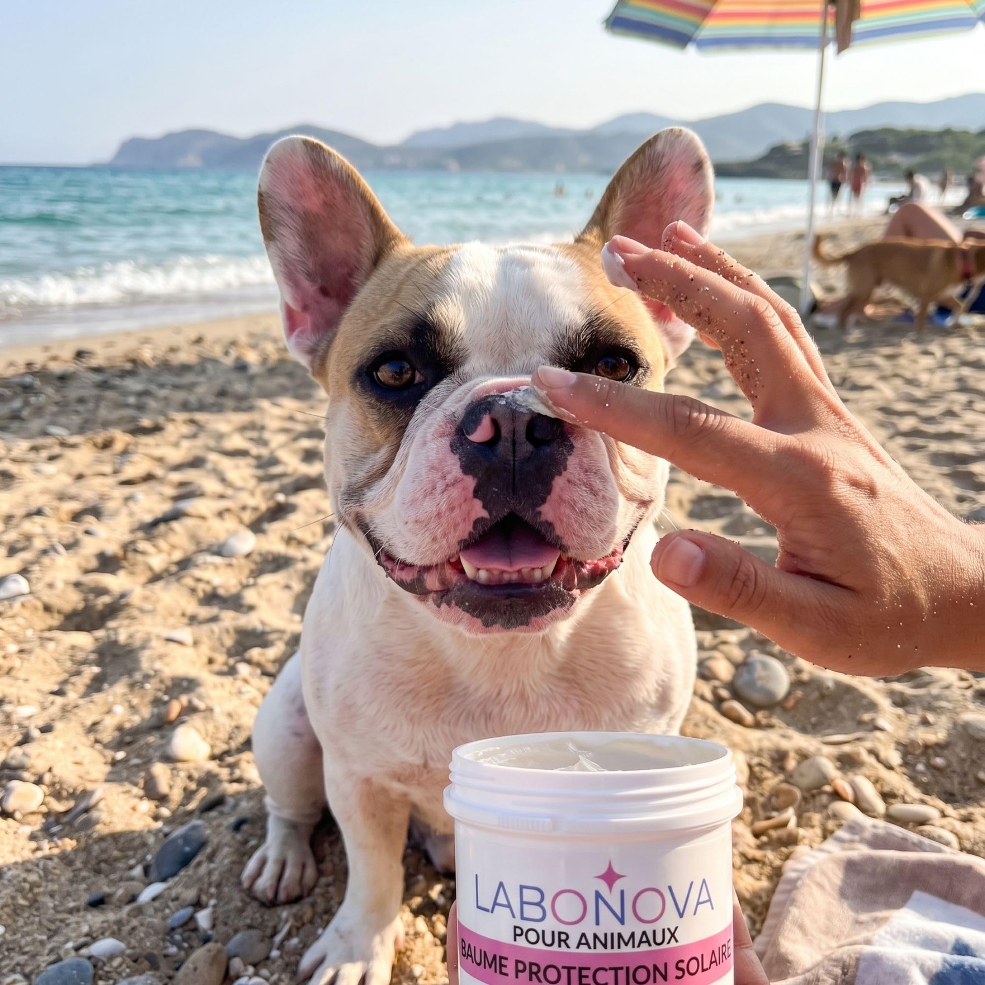 Crème Solaire minéral pour Animaux – Protection UV résistante à l’Eau – Chiens, Chats, Chevaux, Lapins et Autres Animaux