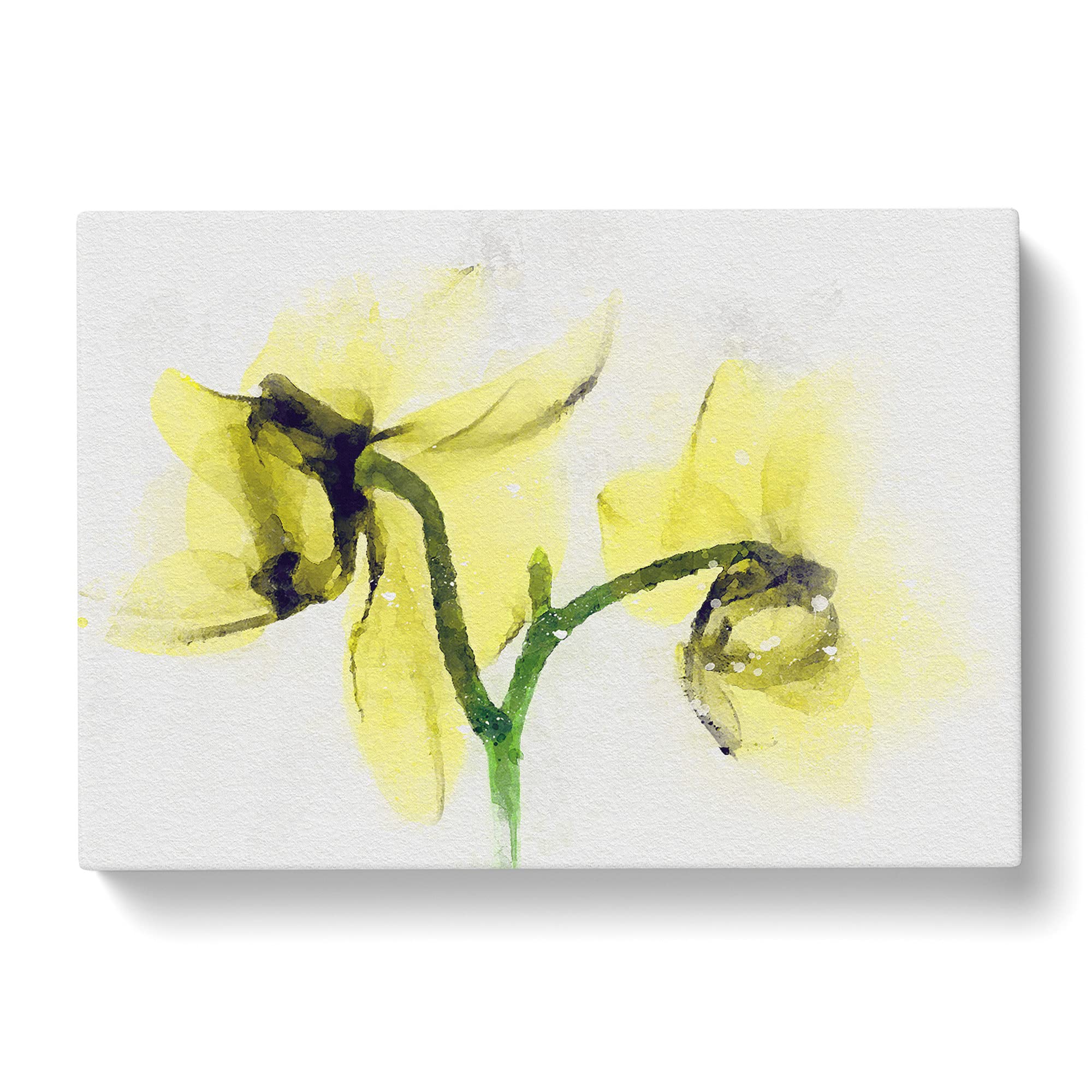 Yellow Orchid Flower Canvas Print, Mixed, 25L x 50W cm - Image 3