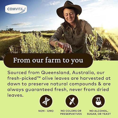 Miniatura 4 de Comvita Suplemento de salud de extracto de hoja de olivo, natural, 16.9 onzas líquidas
