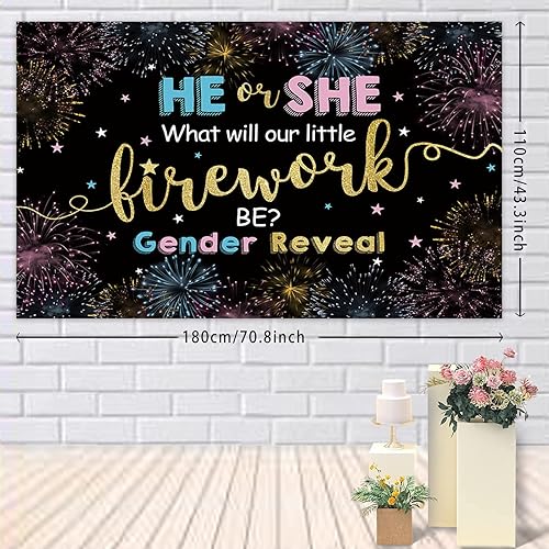 Miniatura 3 de Cartel de revelación de género del 4 de julio, Día de la Independencia, Él o Ella, azul o rosa, para niños o niñas, telón de fondo para fiesta de