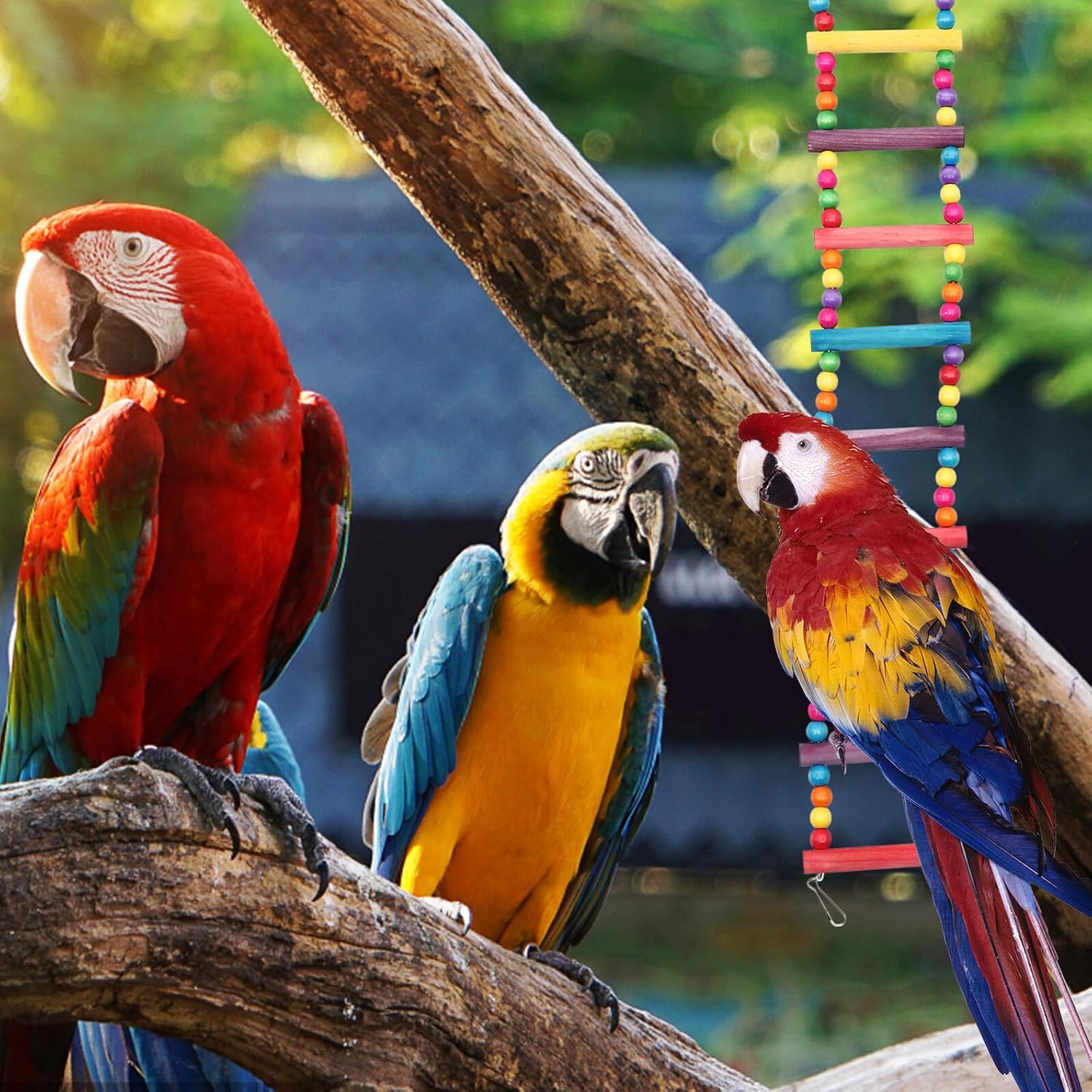 Outanaya Parrot Cage Climbing Ladder Bird Ladder Wooden Beads Bite-Resistant Claw 80cm for Bird Training and Cage Accessories