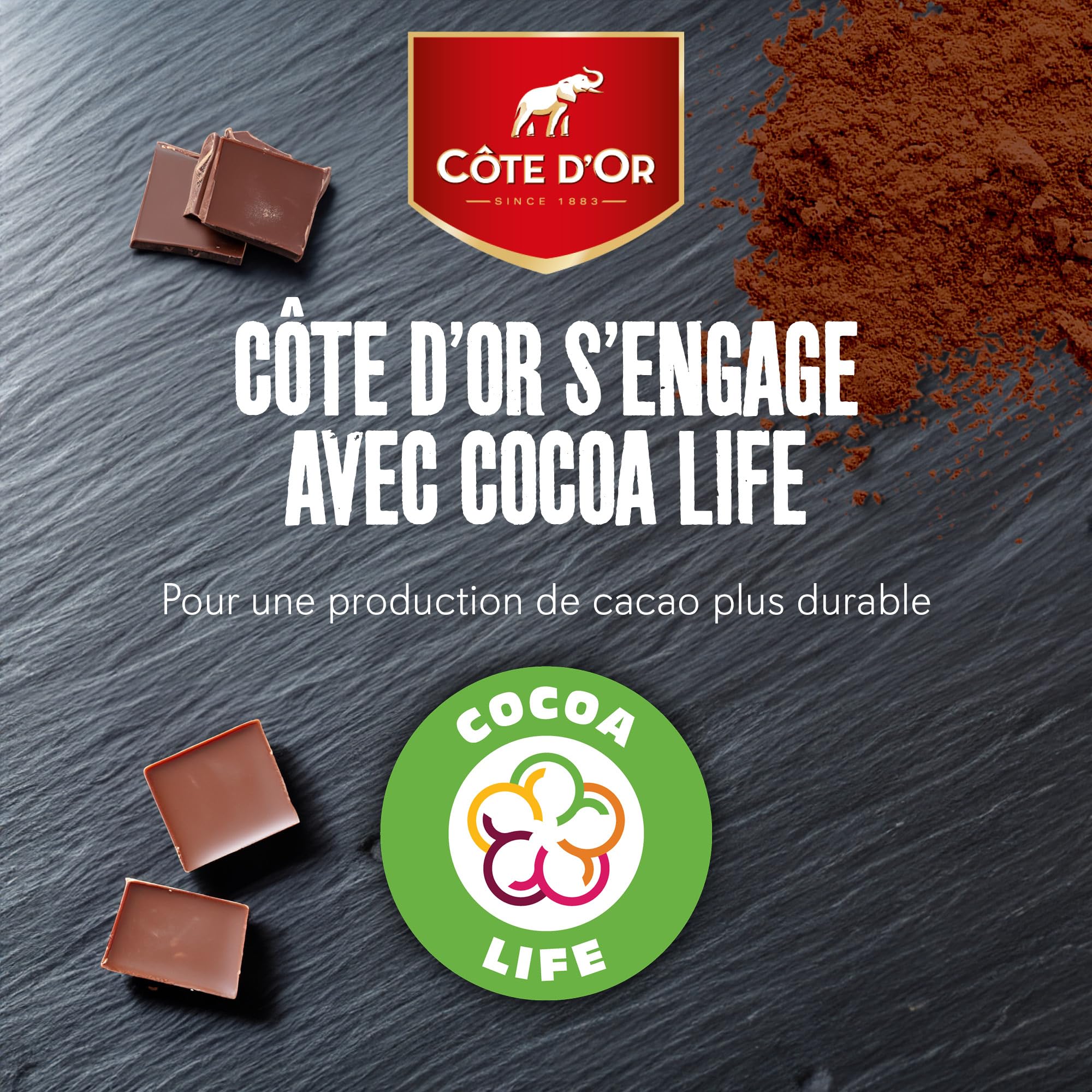 Côte d'Or Mignonnette Noir de Noir - Carton de 120 x 10 g - 1,2 kg