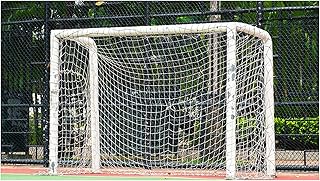 Protection Rope Net Safety Net Climbing Net White Nylon Net, Plant Protection Net, Garden Decoration Net, Stair Safety Net, Pet Child Protection Net Peripheral Bar Net Cargo Net (Size:3*3m（10*10ft）)