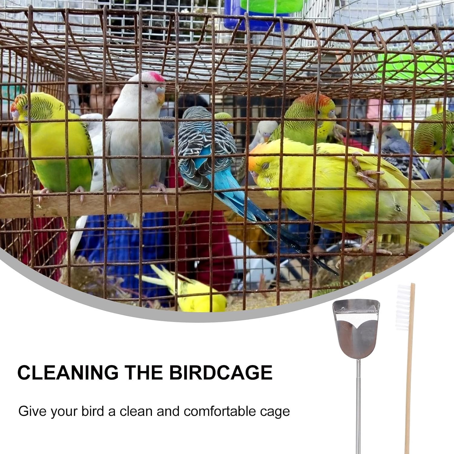 2pcs Bird Cage Cleaning Brush Set with Telescopic Wooden and Stainless Steel Handle Adjustable Length for Easy Parrot Bird Cage Maintenance Random Color image 3