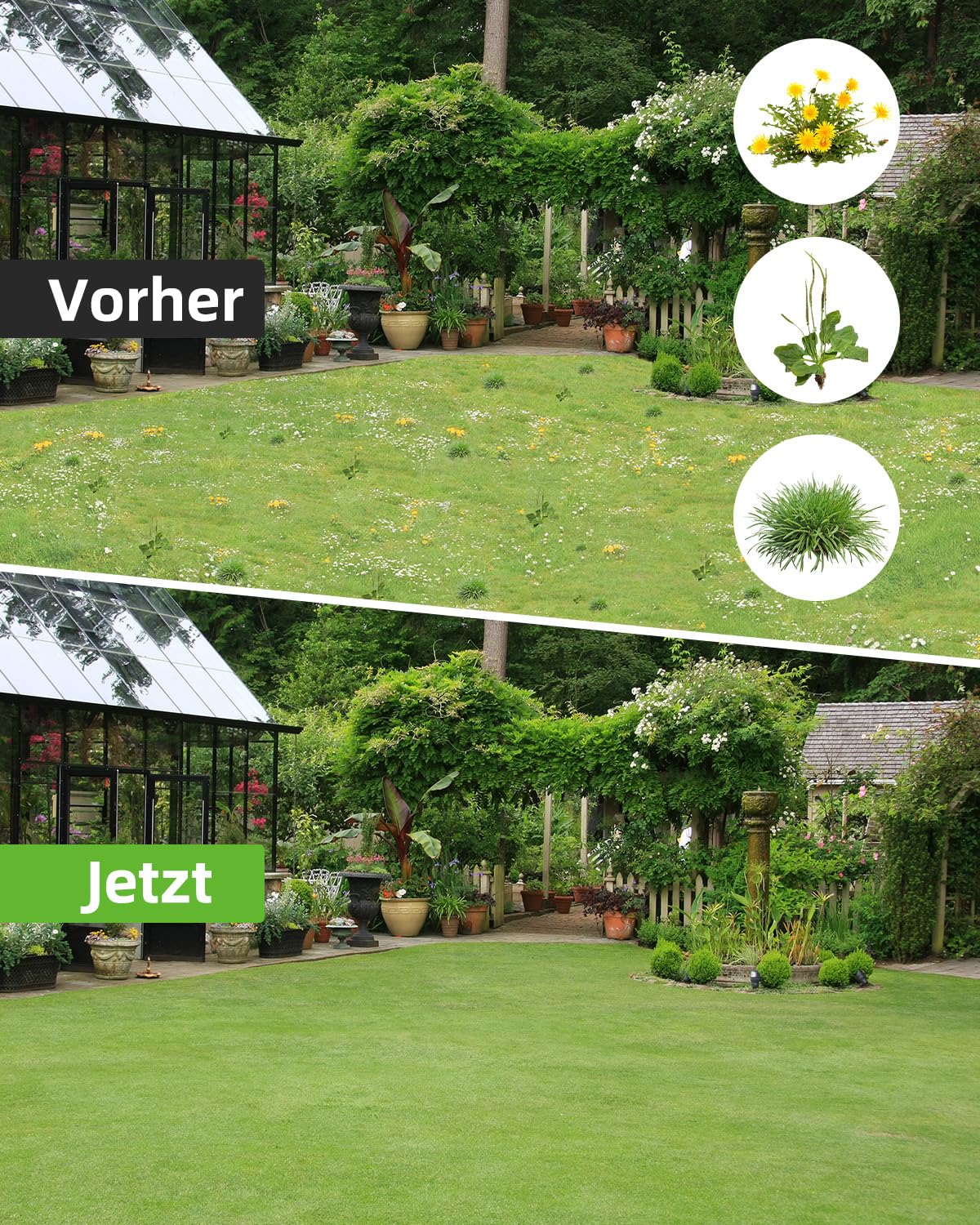 HAUSPROFI Unkrautstecher mit Stiel Teleskop (Länge 91 CM-117 cm) + 50L Gartensack, Unkrautausstecher mit 4 Edelstahl Krallen, Automatisches Zurückspungsdesign