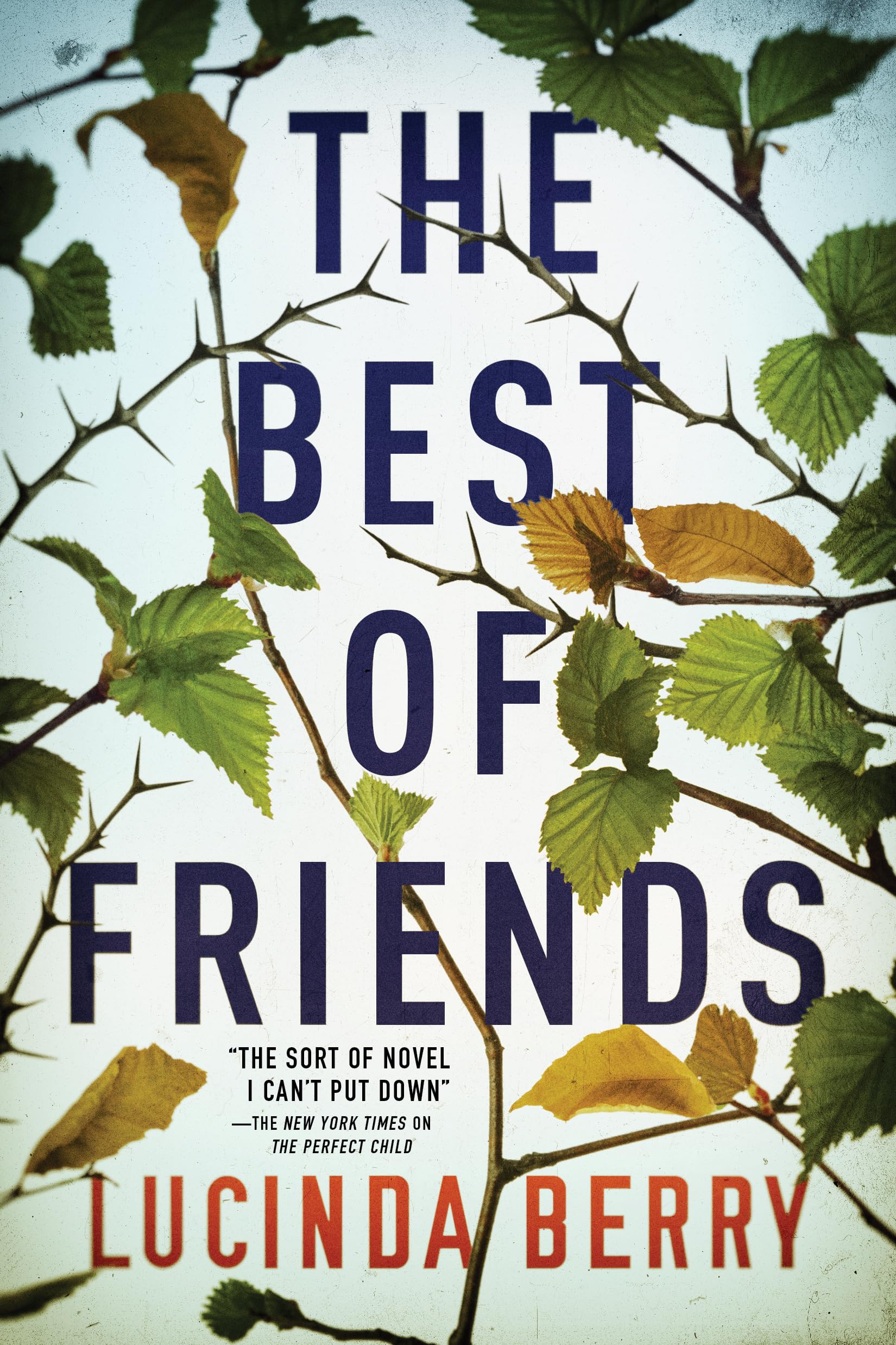 The Best of Friends Paperback – August 18, 2020
