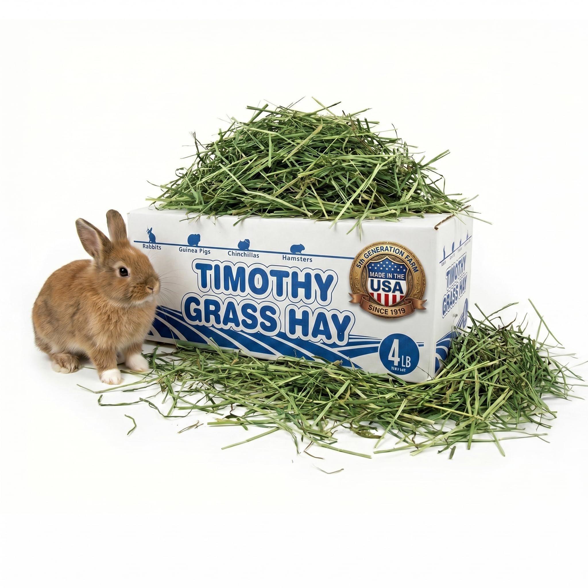High Desert 2nd Cutting Timothy Hay