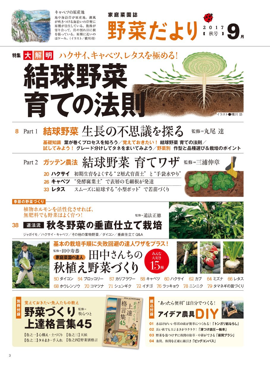 野菜だより 17年9月号 雑誌 本 通販 Amazon