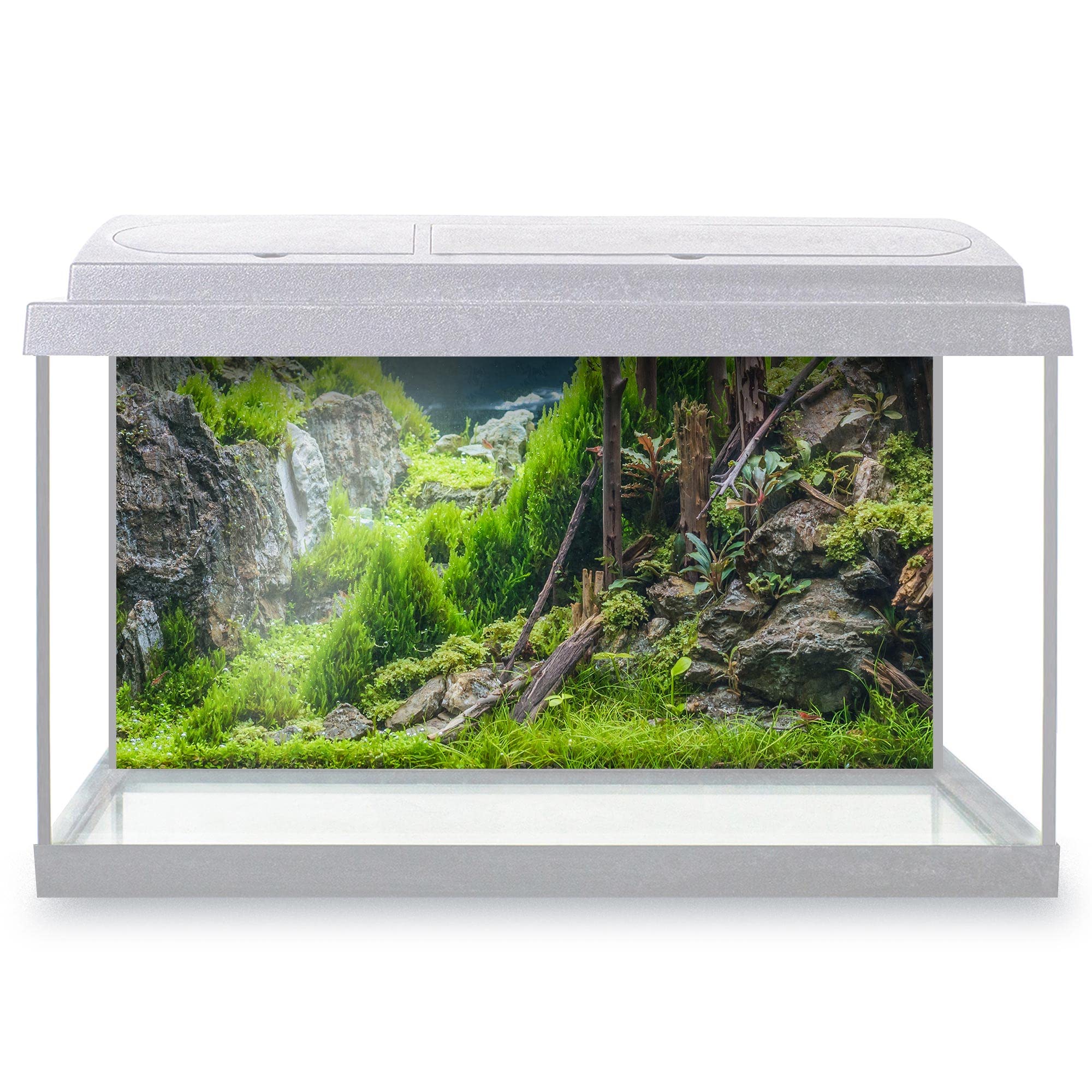 DV DESIGN Aquarium Fish Tank Background 60x30 cm - Forest Nature Style Tank Variety Aquatic Plants Moss Aquatic Image Static Cling Vinyl Vivarium Terrarium External Application #500004