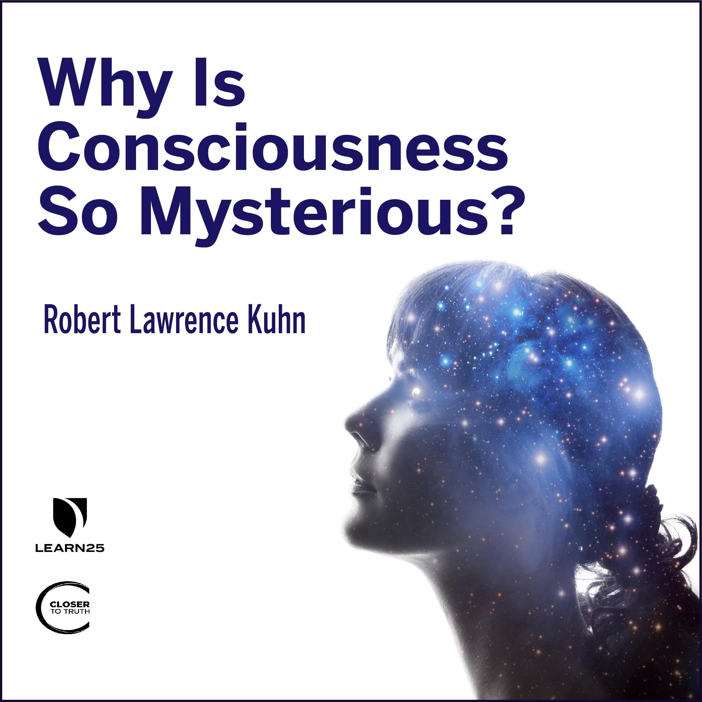 Why is Consciousness so Mysterious?