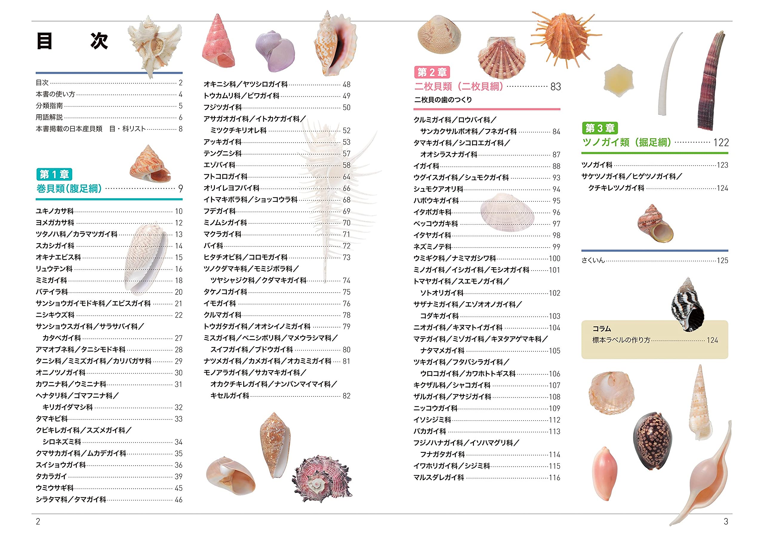 くらべてわかる貝殻 くらべてわかる図鑑 黒住 耐二 大作 晃一 本 通販 Amazon