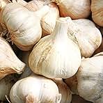 Music Hardneck Garlic - 4 Bulbs (Heads) - for 2025 Planting Garlic for Garden Planting Grow Your Own Porcelain White Musik Allium Heads Perennial