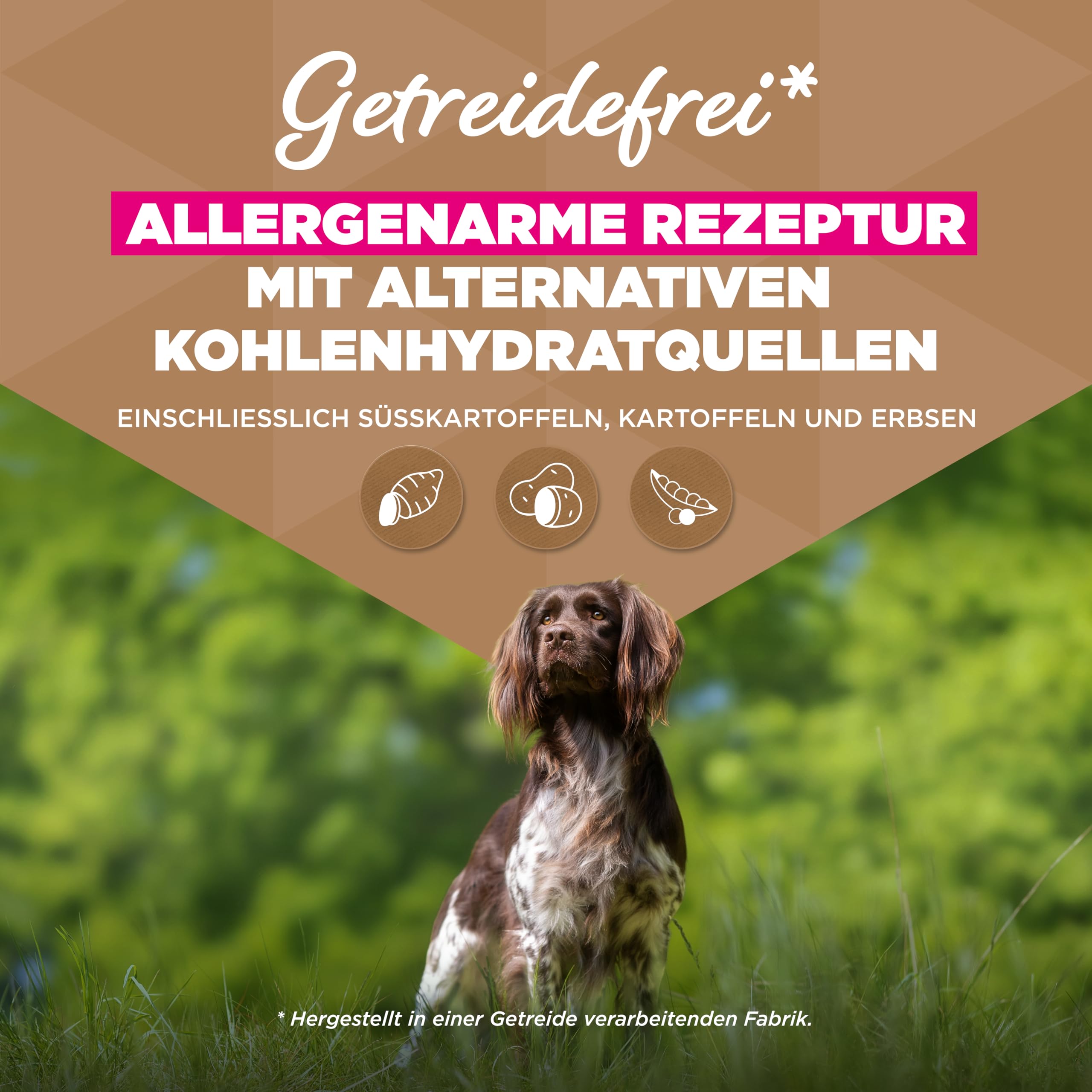 Eukanuba Hundefutter getreidefrei mit Huhn für kl. & mittlere Rassen, 12kg | Premium Trockenfutter | mit frischem Huhn | ohne Getreide | für ausgewachsene Hunde