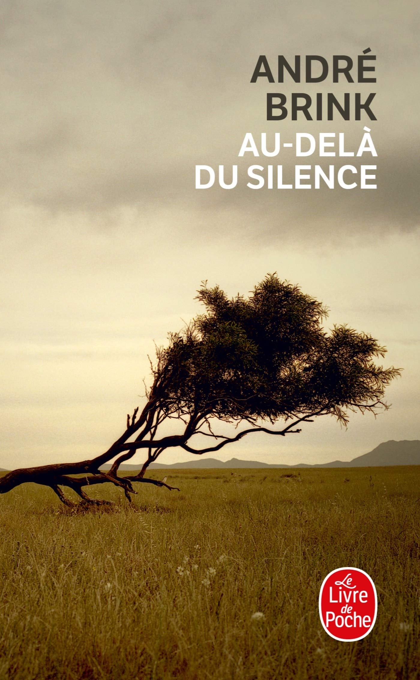 Au-Dela Du Silence