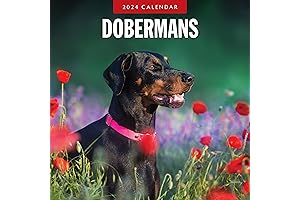 2024 Doberman Desktop Calendar