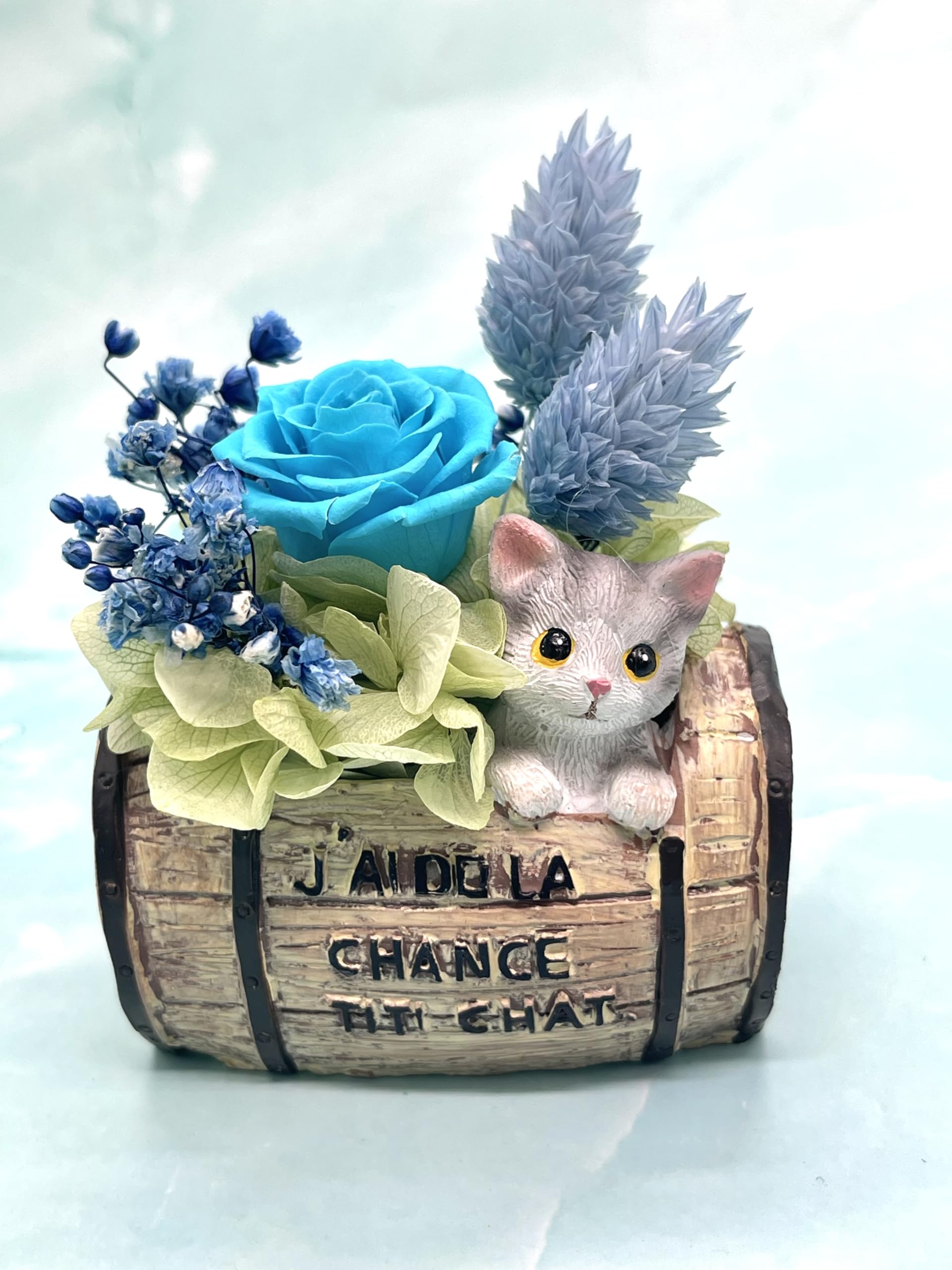 Amazon｜花冠seina プリザーブドフラワー ミニ 猫ちゃん 友膳 ポッド 