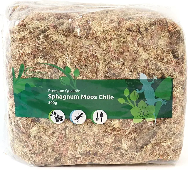 SphagnSphagnum Moss for Terrariums and Orchids from Chile from 150 g to 5 kg Chile Dried Dummy Moss for Terrarium and Orchids, 1