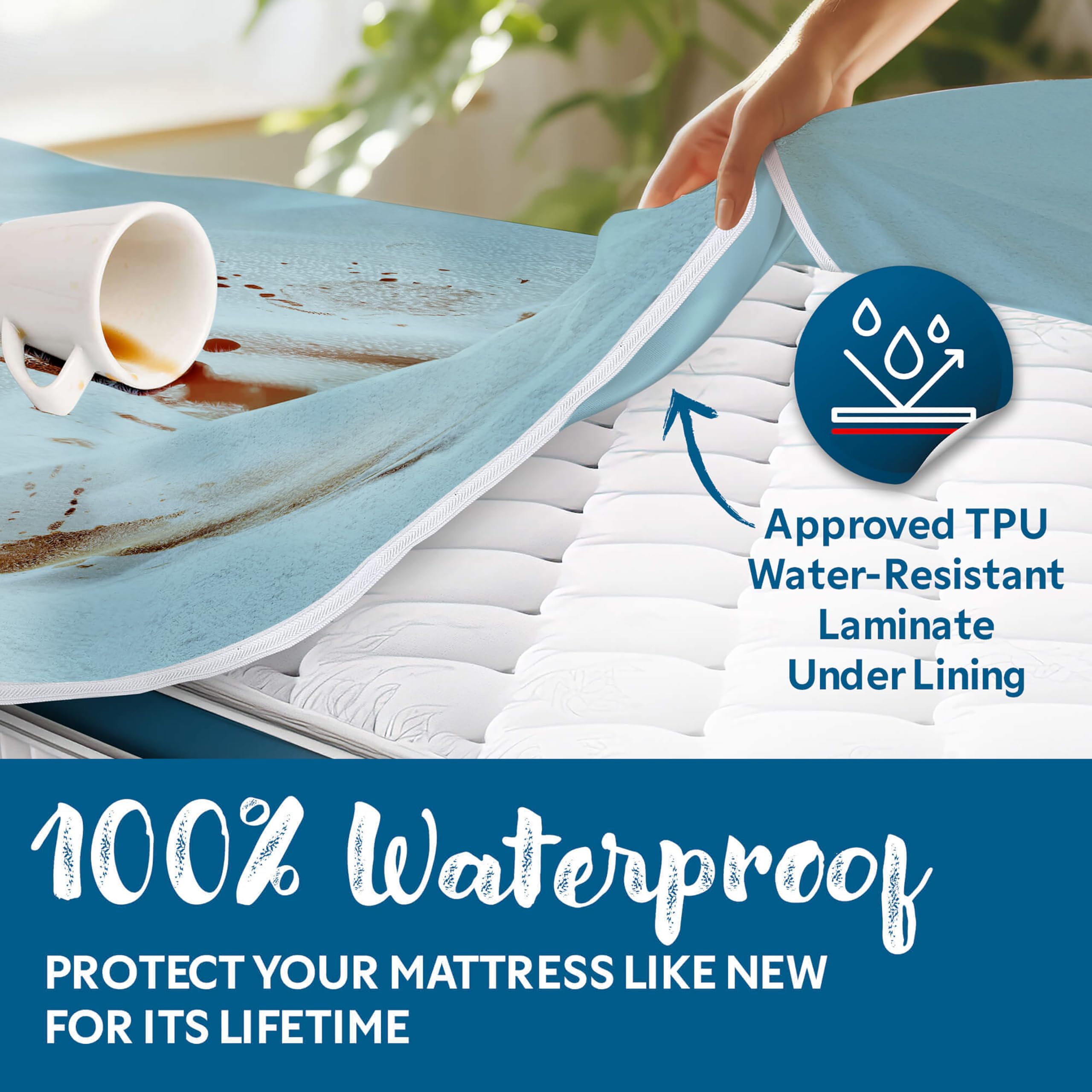 View 4