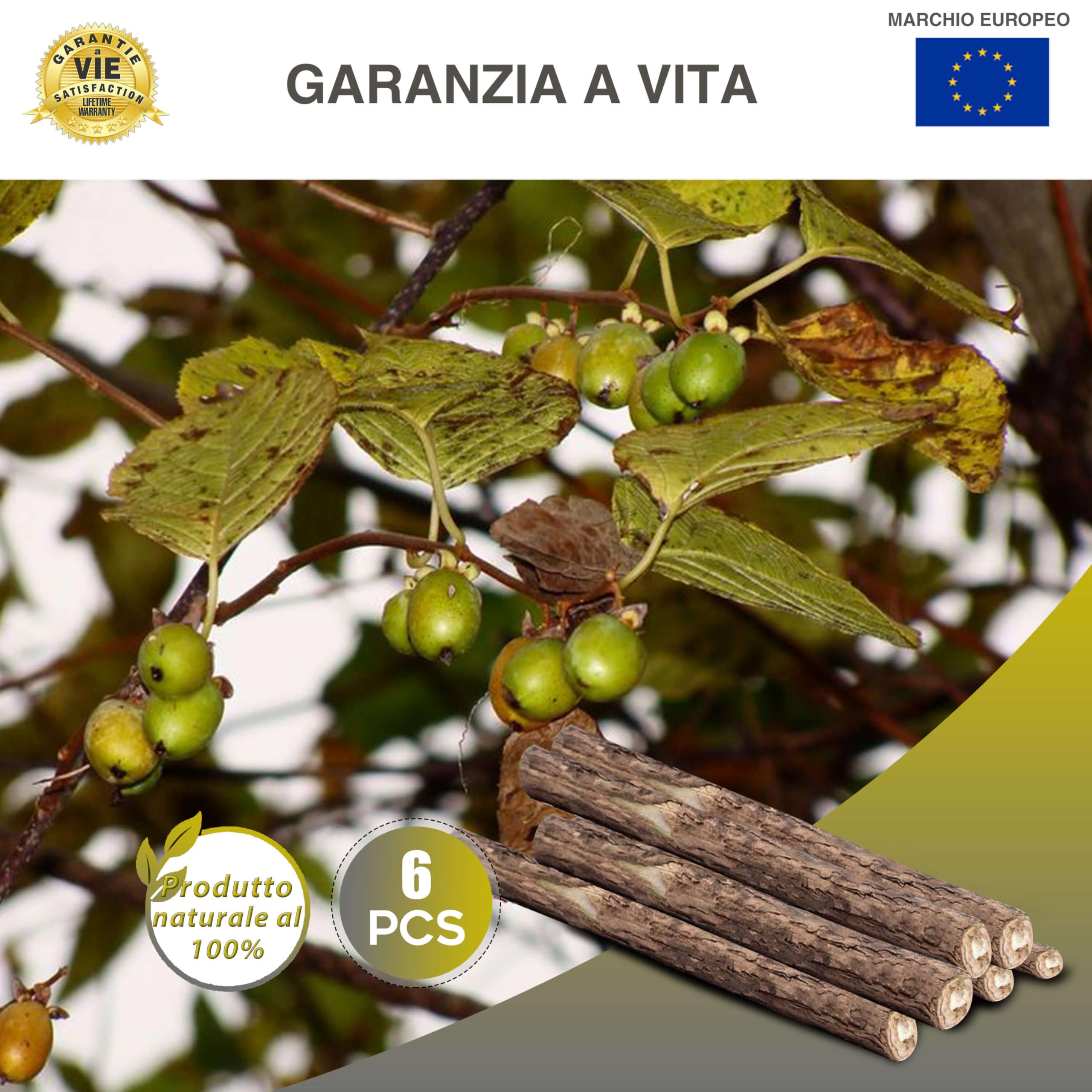 Bastoncini di Erba Gatta in Legno Naturale |6 STICK|✮✮GARANZIA A VITA✮✮- Snack Matatabi per Gatti Adulti e Piccoli - Bastoncino per la Pulizia Dentale e Orale del Gatto, Gusto Menta
