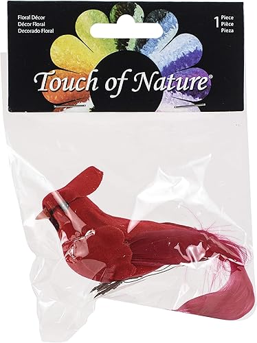 Touch of Nature 20942 Seta y Pluma Cardenal, 4 pulgadas, rojo