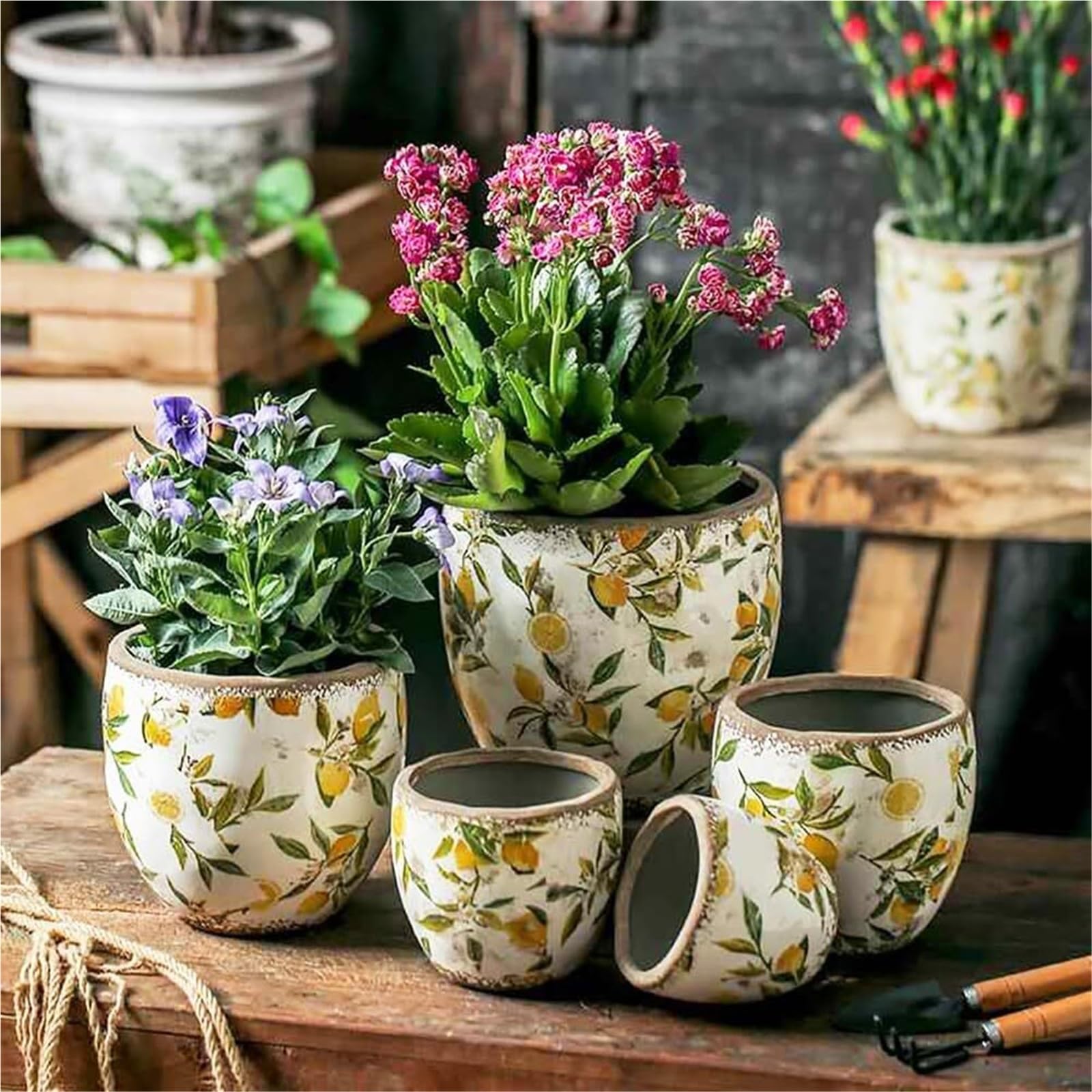Doniczki na rośliny Ceramiczne doniczki na rośliny ogrodowe i przeszklone sukulenty prezenty dla miłośników roślin (żółty, bez dziury)