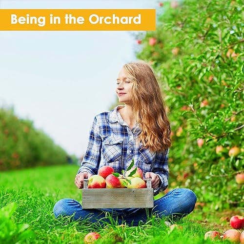 Miniatura 2 de ESSLUX - Juego de 14 aceites aromáticos frutales de primera calidad para difusor aromas para hacer velas de jabón coco melocotón sandía piña y más