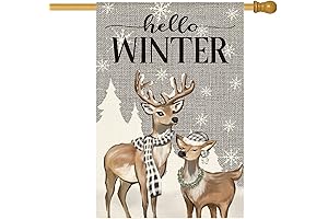 AVOIN colorlife Winter Flag 28x40 Inch Hello Winter Reindeer Snowflake House Flag