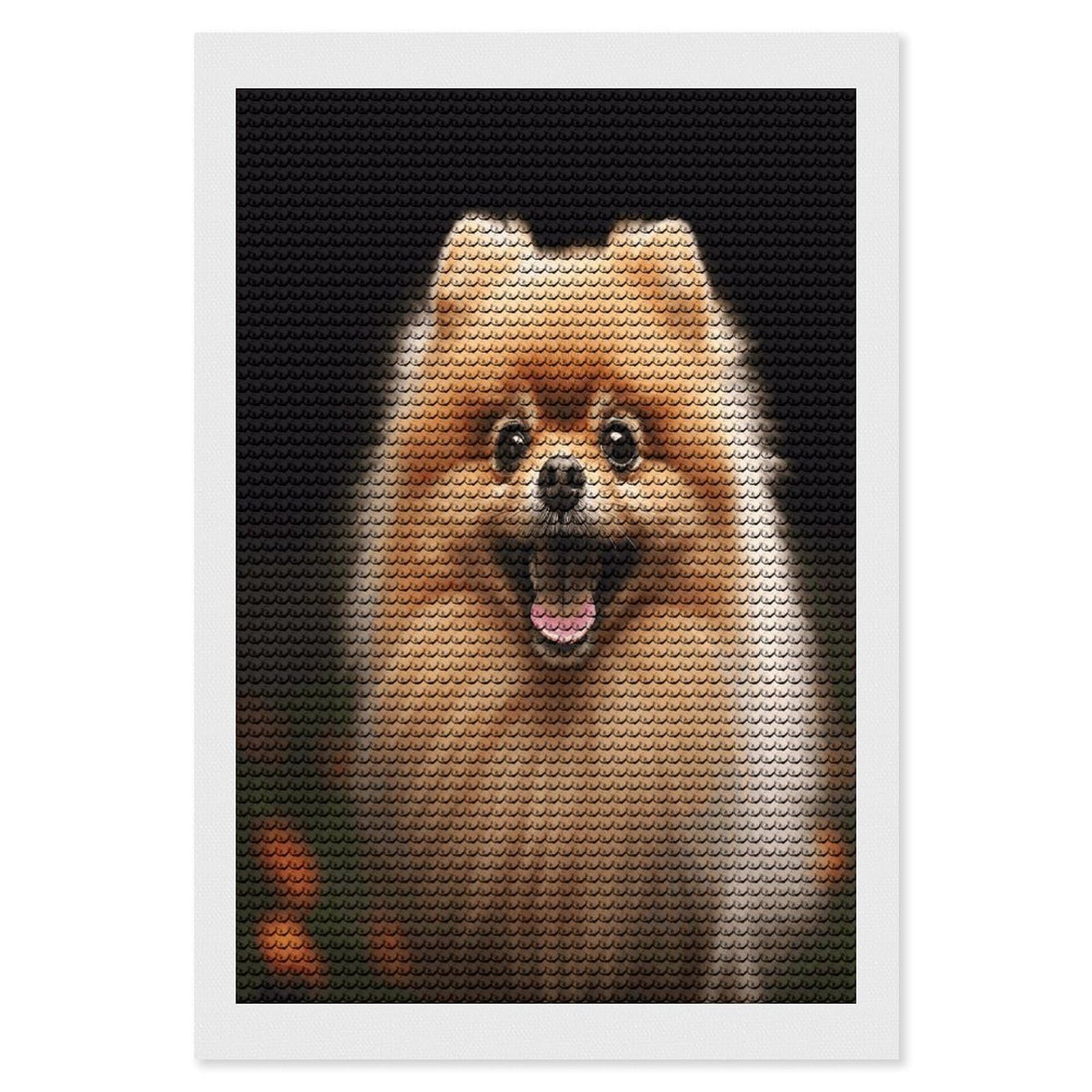 VstaDank Pomeranian Diamond Painting Kits Exquisite DIY Full Round Drill Diamond Dots Painting for Adults Beginner Diamond Photo Paint with Diamond Picture Art Wall Decor 8"x12"