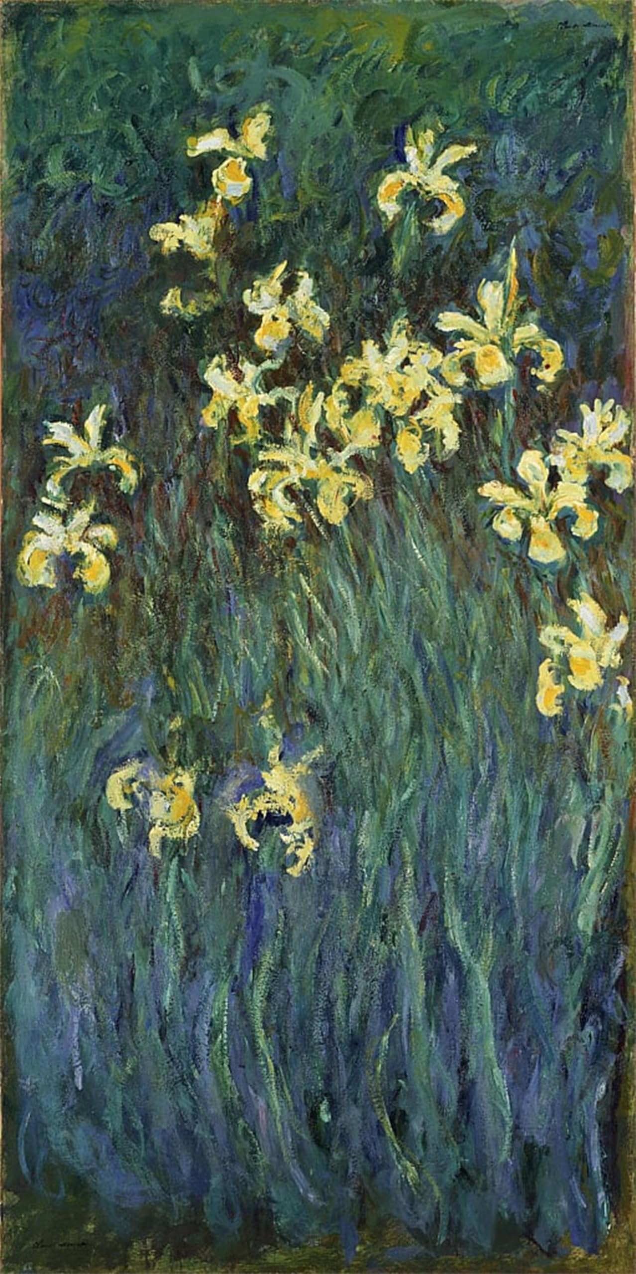 ARTXLXXBN Famous Painting Canvas Artwork Graffiti Print Yellow Irises by Claude Monet Portrait Canvas Image for Home Decor 60x90cm