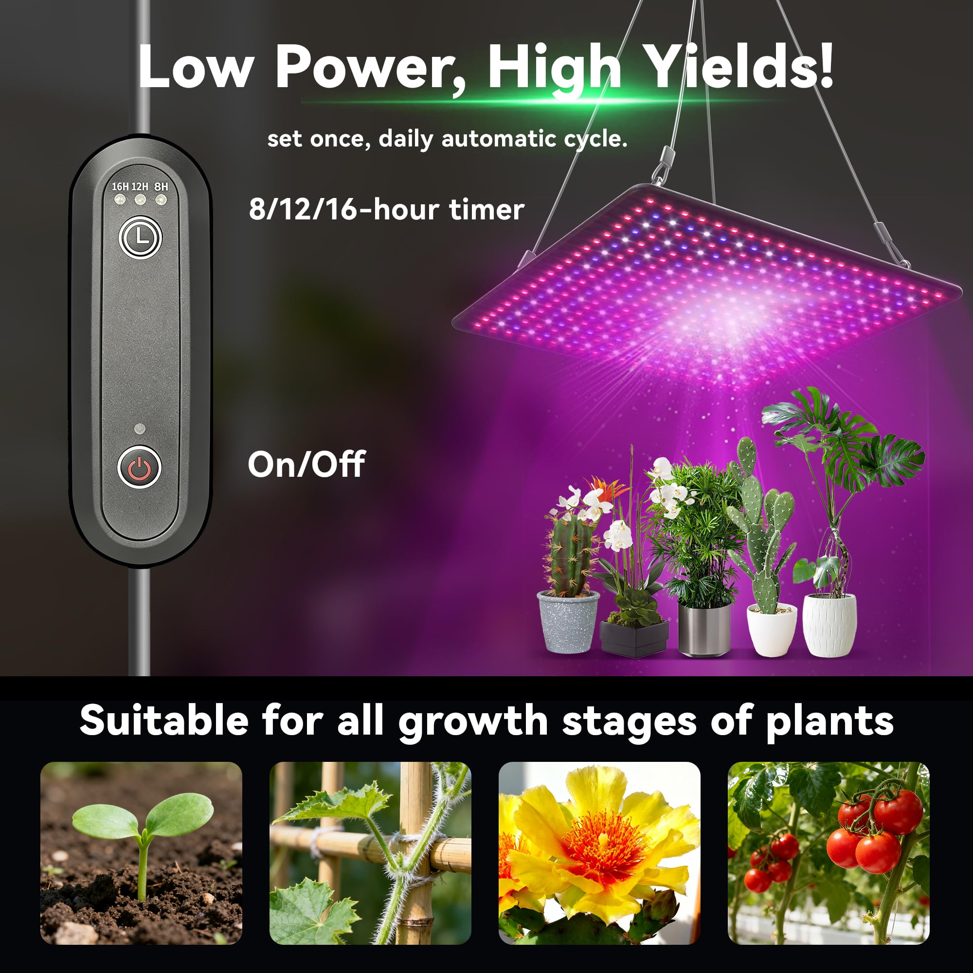 Amazon.com : Uallhome LED Grow Light Panel 600W Lamp for Indoor