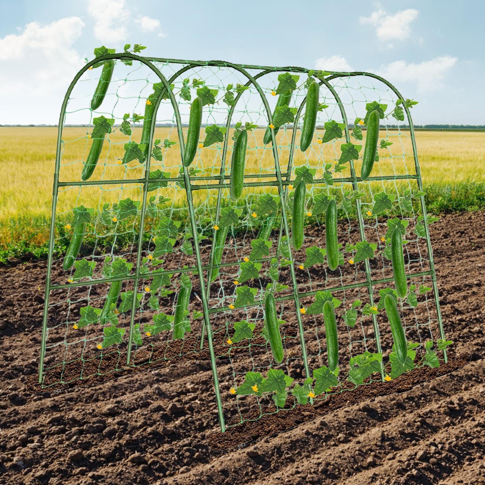 Enrejado Para Pepinos En Cama Elevada U Plantas Trepadoras | Enrejado Para Hortalizas De Elevado Guisantes, Tomates, Calabazas, Berenjenas, Cultivo En Invernadero Y Agricultura En