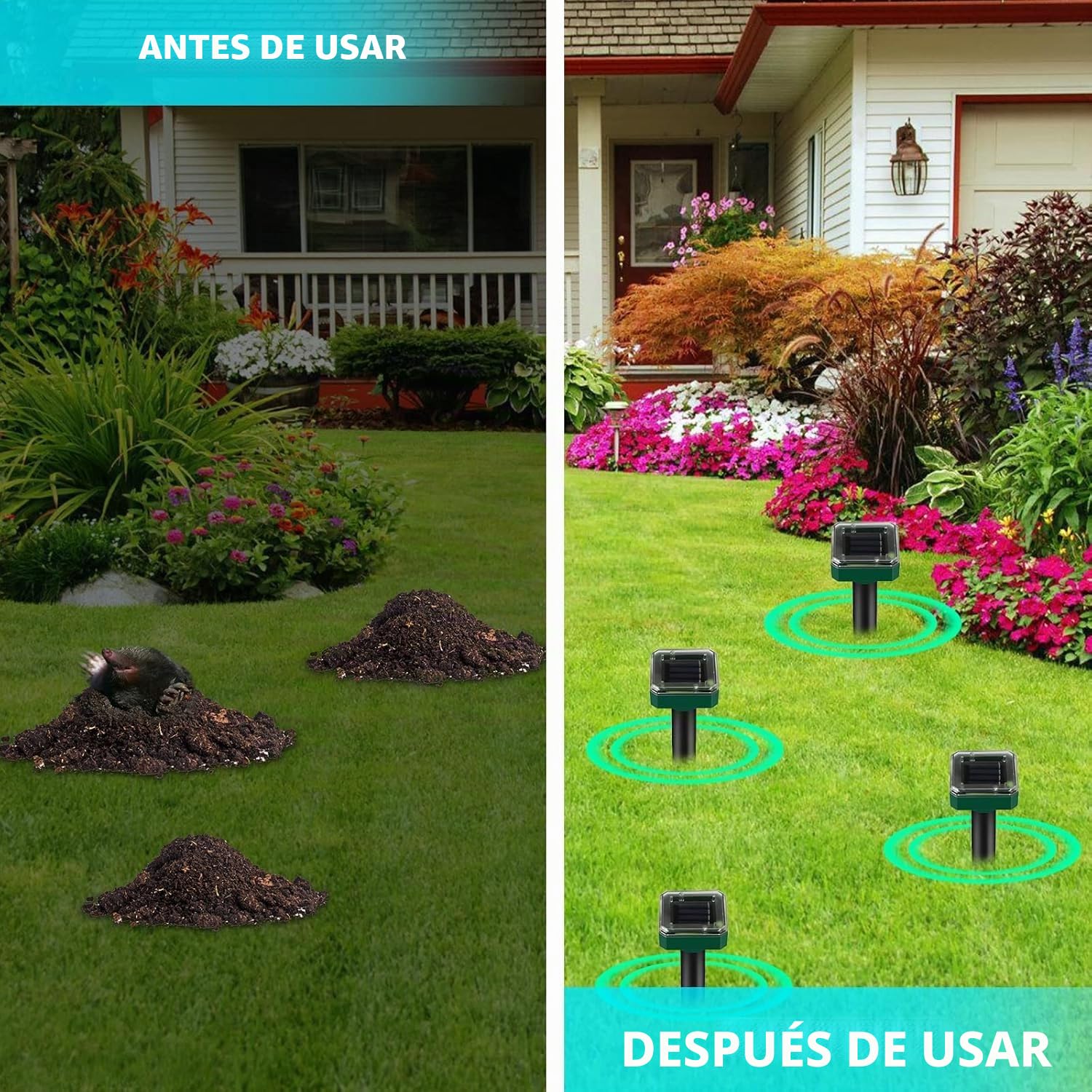 6 unidades de ahuyentador solar de topos, ahuyentador solar ultrasónico de topos IP65, repelente de topos resistente al agua, ahuyentador de topillos Mole Repellent, control de plagas para césped