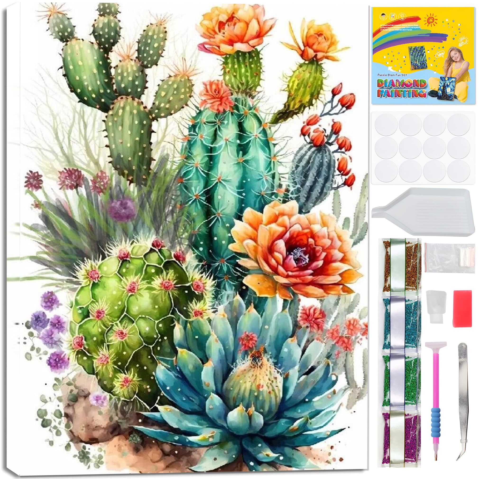 Jakener Cactus Diamond Art Kits For Adults With Framed, Succulent Diamond Painting Kits For Adults Diy 5D Beautiful Box Pack Round Full Drill Gem Art And Crafts For Home Wall Decor 30X20cm/12X8in ﻿