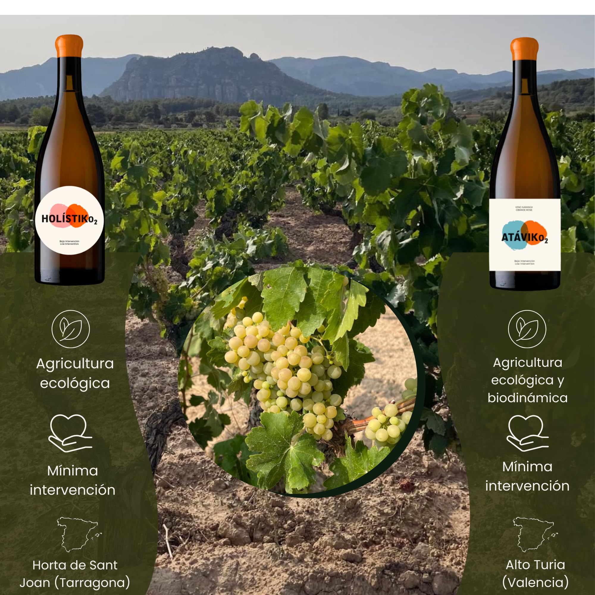 Vino Naranja, Uva Blanca Garnacha, Macabeo (Viura), Sumoll, Merseguera, Vino Seco, Aroma Afrutado [PACK 2] Pescado Carne Marisco Queso, Crianza Ánfora Damajuana, Eco, ATÁVIKO2 2023 + HOLÍSTIKO2 2024