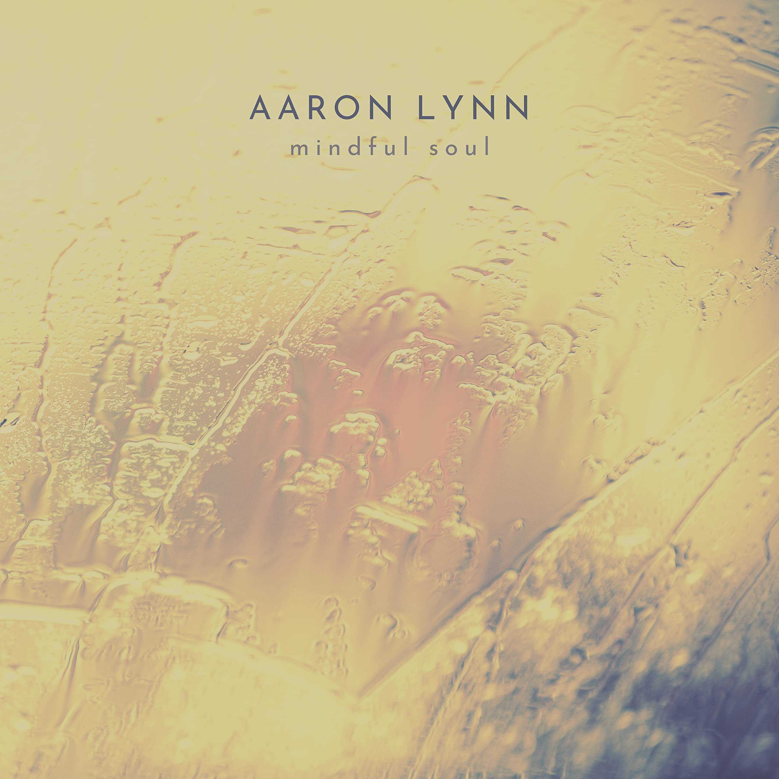 Aaron Lynn