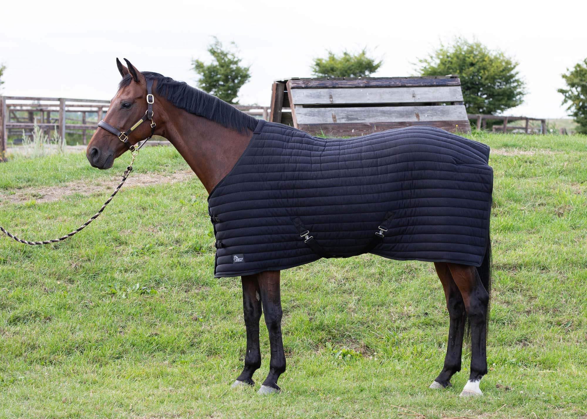 Manta Harry's Horse Powerliner de 185 cm para el descanso del caballo en box