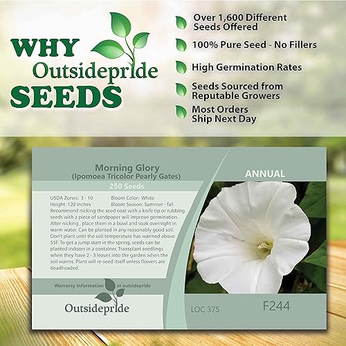 Miniatura 4 de Outsidepride 500 Semillas Anuales Ipomoea Tricolor Morning Glory Puertas nacaradas Escaladas Semillas de flores de vid para plantar