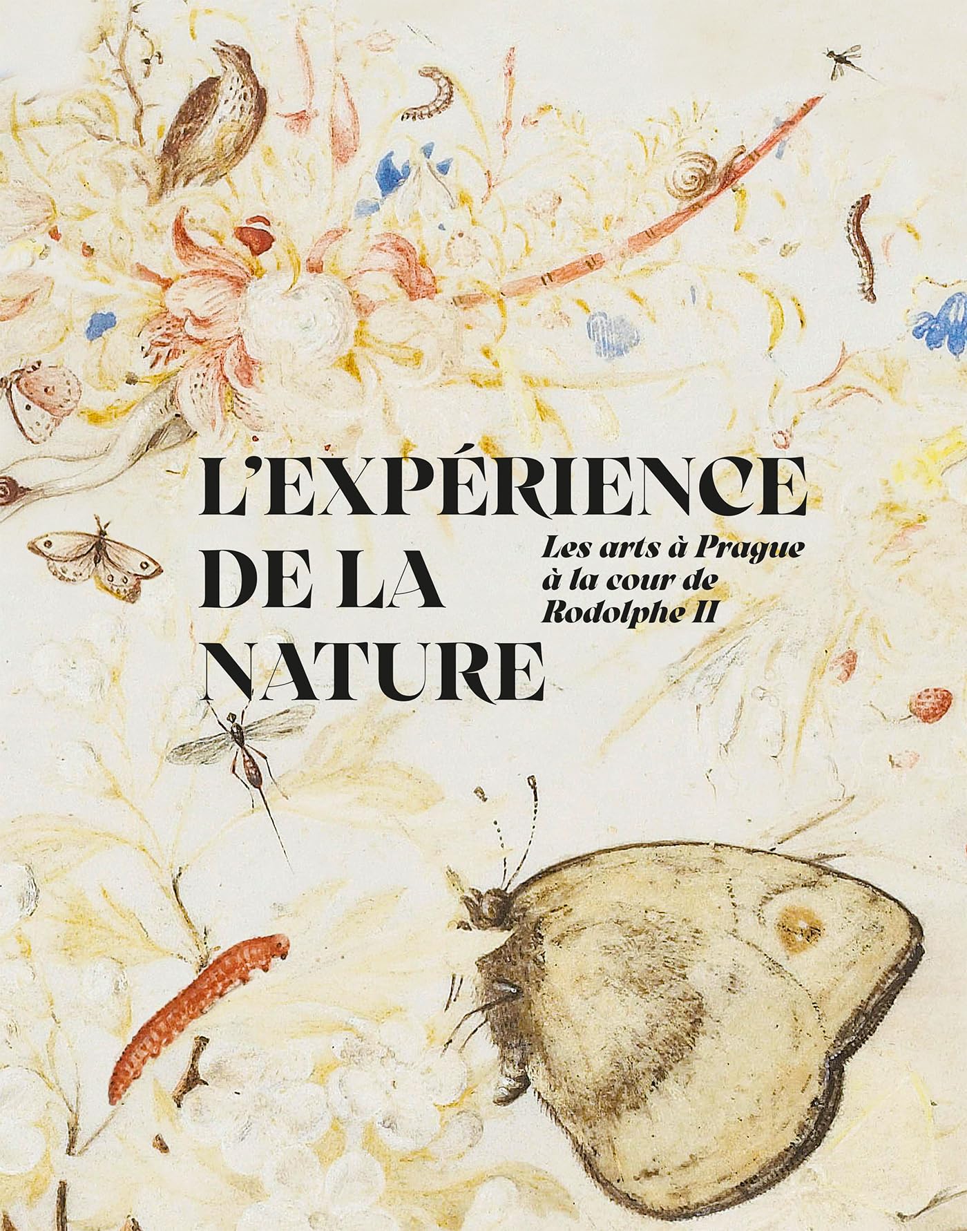 L'expérience de la nature: Les arts à Prague à la cour de Rodolphe II