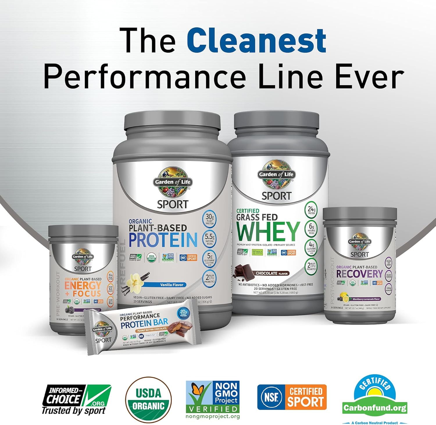 Garden of Life Sport Vegan Organic Plant Based Post Workout Muscle Recovery Powder for Men & Women - BlackBerry Lemonade 30 Servings, 100mg Magnesium, Antioxidants, Supplements, 15.7 Oz : Health & Household