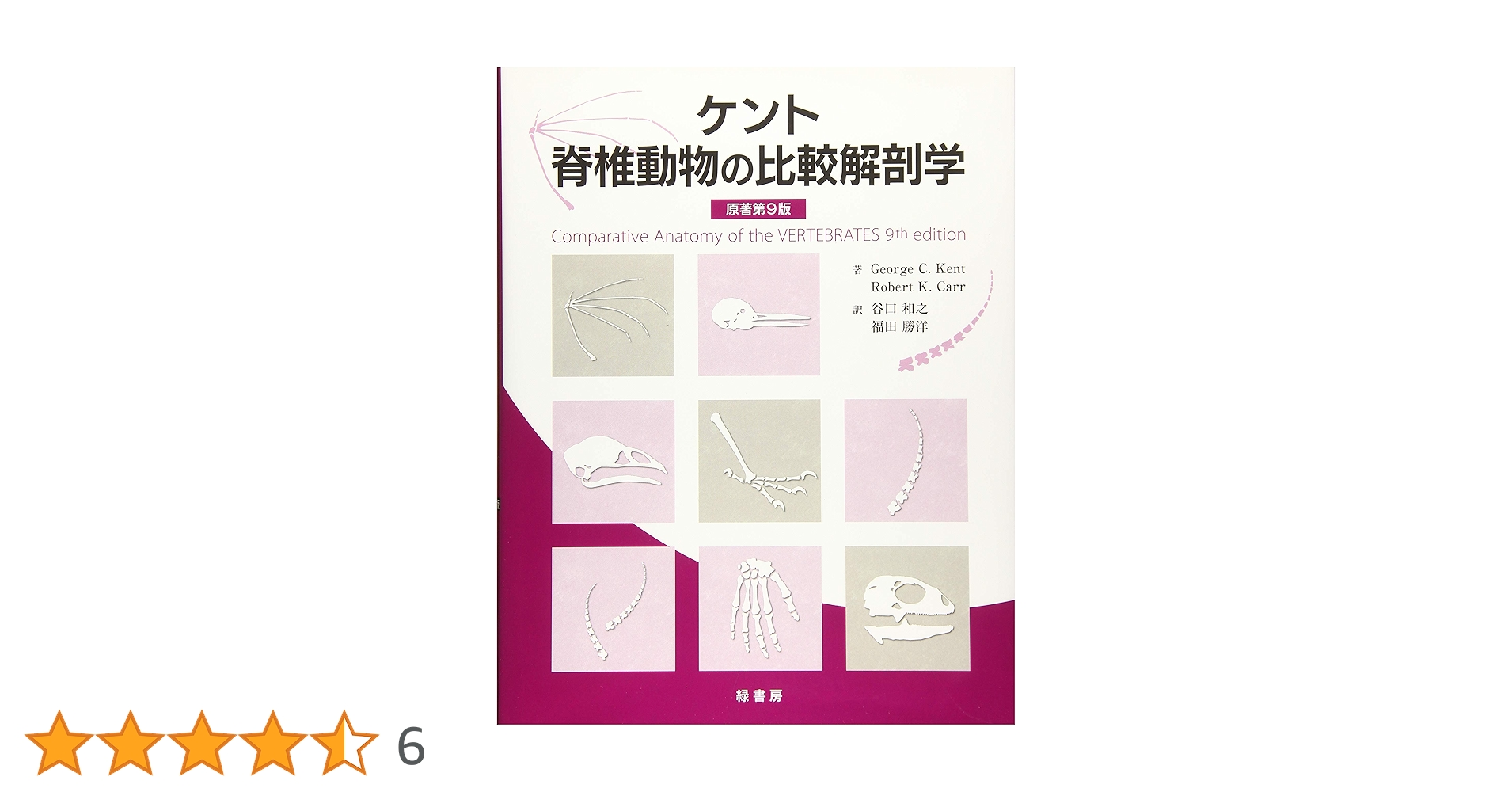 脊椎動物比較形態学 (1979年) 脊椎動物比較形態学 (1979年) | A.ポルトマン, 島崎 三郎 |本