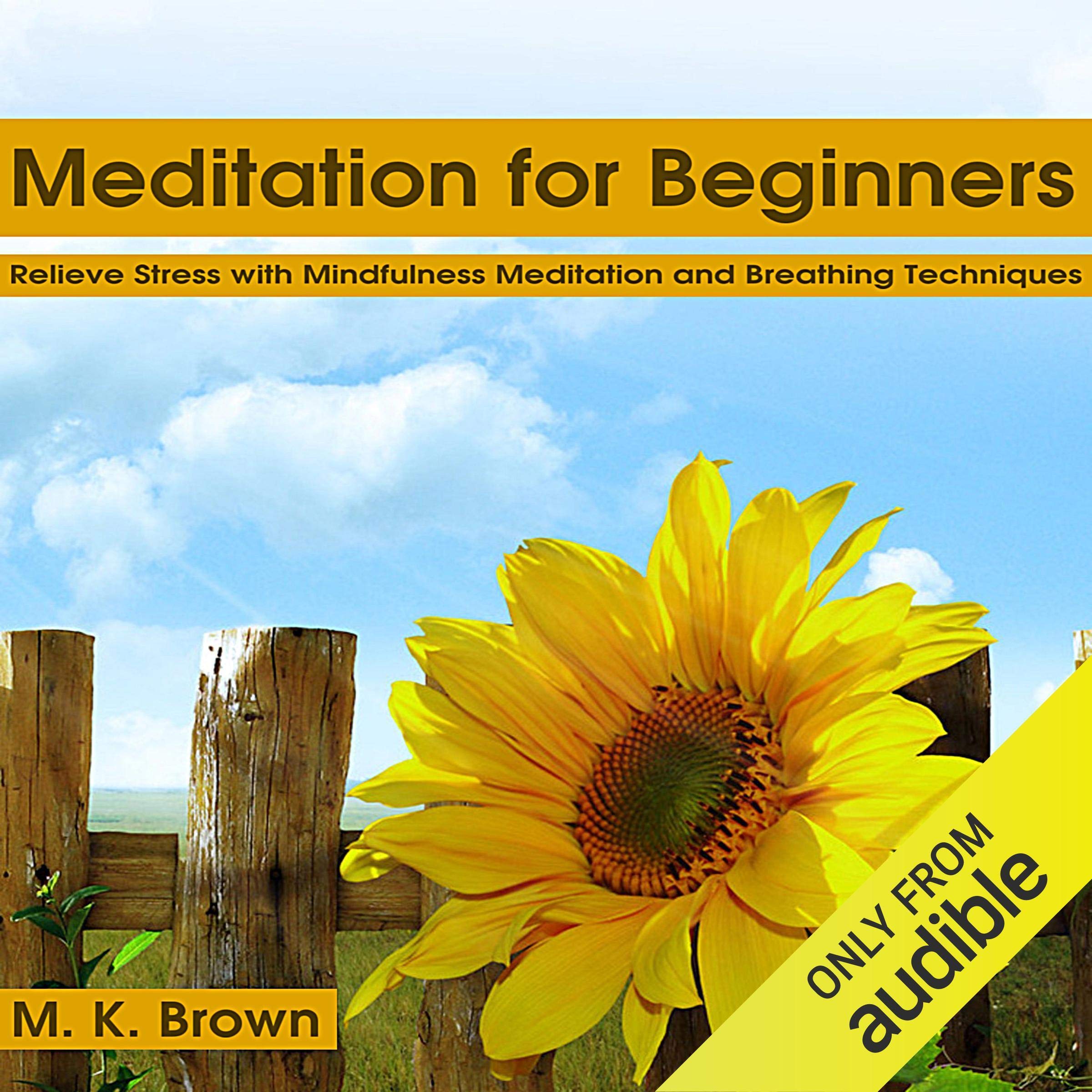 Cover art for Meditation for Beginners
