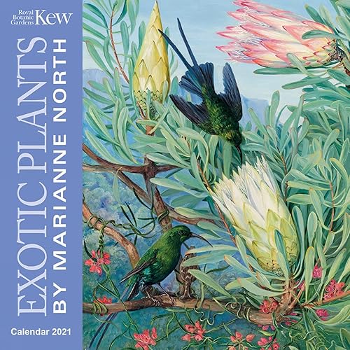 Kew Gardens - Exotic Plants by Marianne North Mini Wall calendar 2021 (Art Calendar)