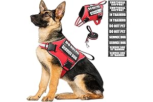 Pawtitas Service Dog Vest Harness and Leash Set with 10 Patches: The...