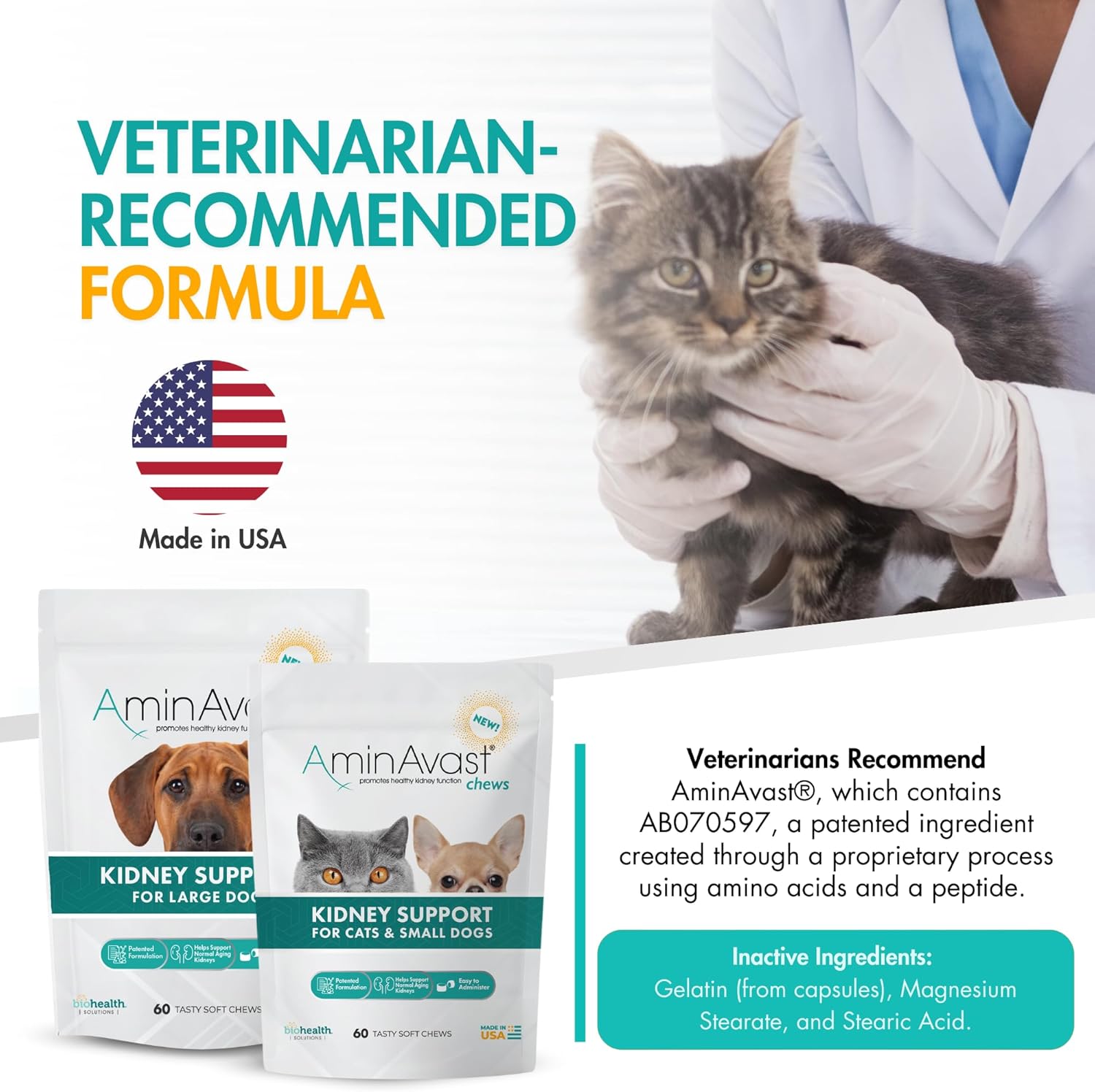 AminAvast Small Dogs & Cat Kidney Support - Promotes Healthy Kidney Support in Cats & Small Dogs - 300mg (60 Chews)