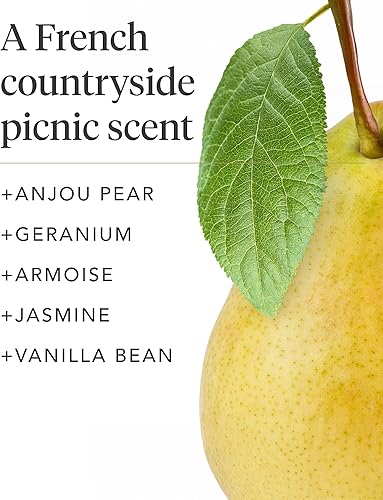 Miniatura 4 de Zents Vela perfumada de cera de soja (Anjou - Armoise & Jasmine), tarro grande de una sola mecha, acento edificante para decoración del hogar, 8.5