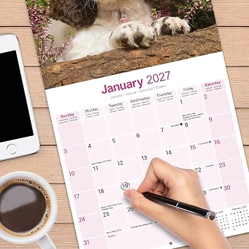 Avonside English Springer Spaniel 2027 Square Calendar with Stickers