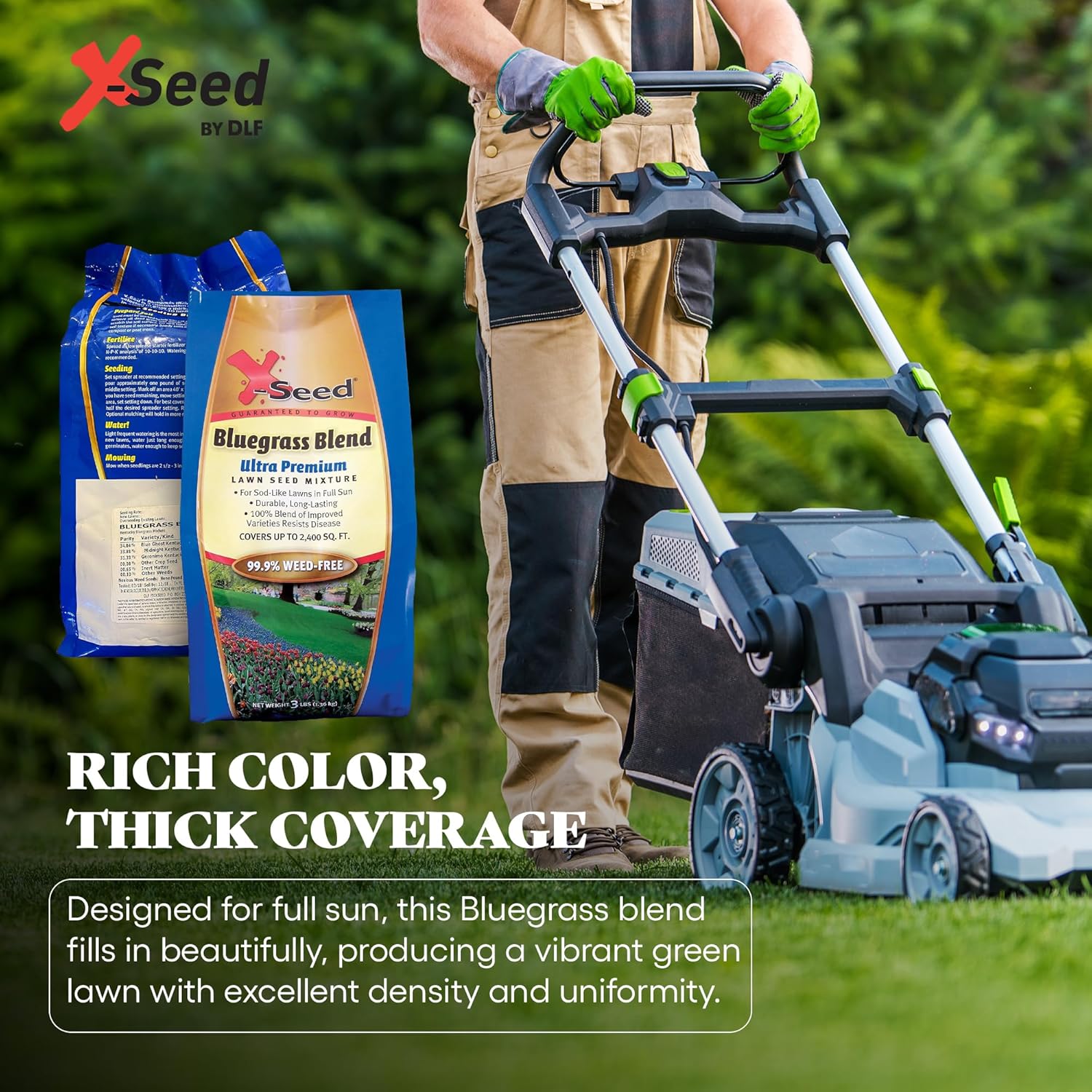 X-Seed Bluegrass Lawn Seed Blend with 4Most Seed Enhancement by DLF - Fast-Growing, Drought-Tolerant, Cool-Season Grass Seed for Thick, Green Lawns, 3 lbs. Covers up to 4,900 sq. feet, 99.9% Weed Free