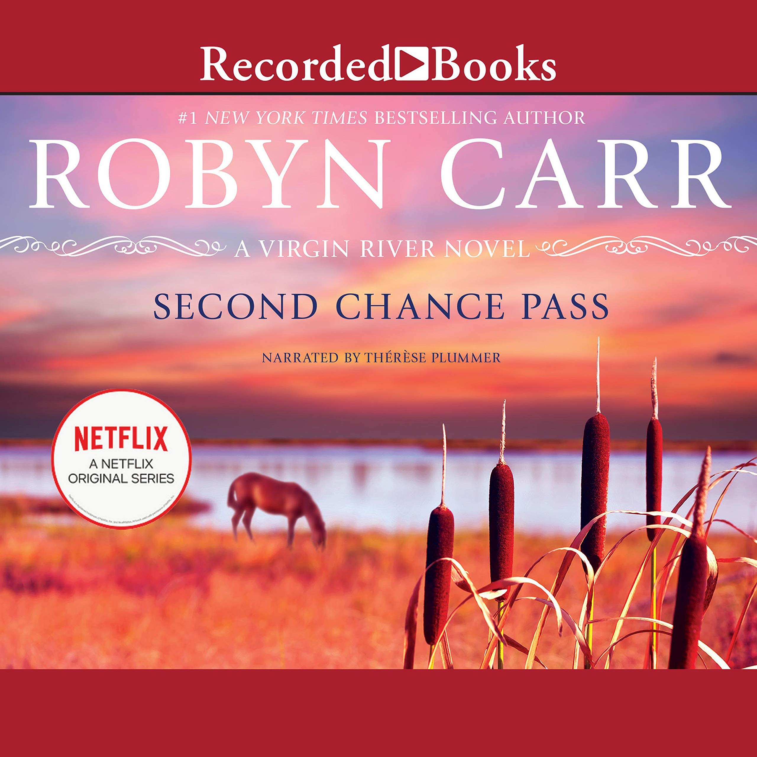 Cover art for Second Chance Pass