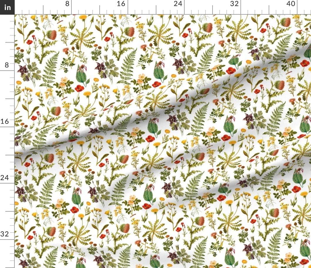 Spoonflower Fabric - Vintage Botanical Wildflowers Small Florals Botanicals Woodland Printed on Petal Signature Cotton Fabric by The Yard - Sewing Quilting Apparel Crafts Decor